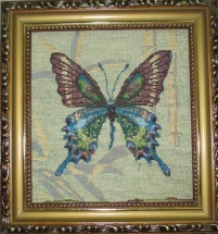 Бабочка 5  