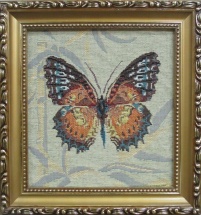 Бабочка 1  