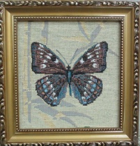 Бабочка 4  